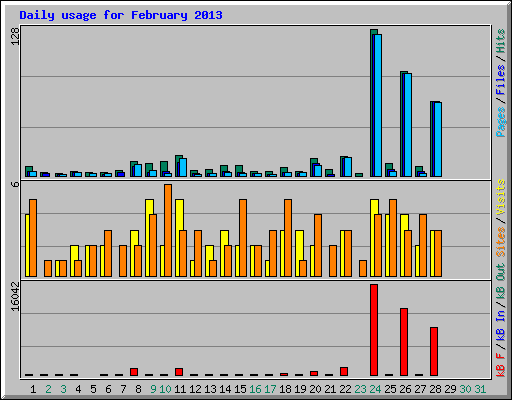 Daily usage for February 2013