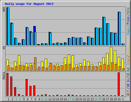Daily usage for August 2013