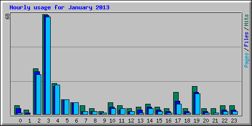 Hourly usage for January 2013