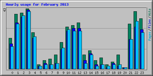 Hourly usage for February 2013