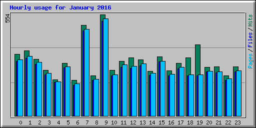 Hourly usage for January 2016