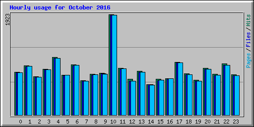 Hourly usage for October 2016