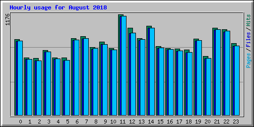 Hourly usage for August 2018